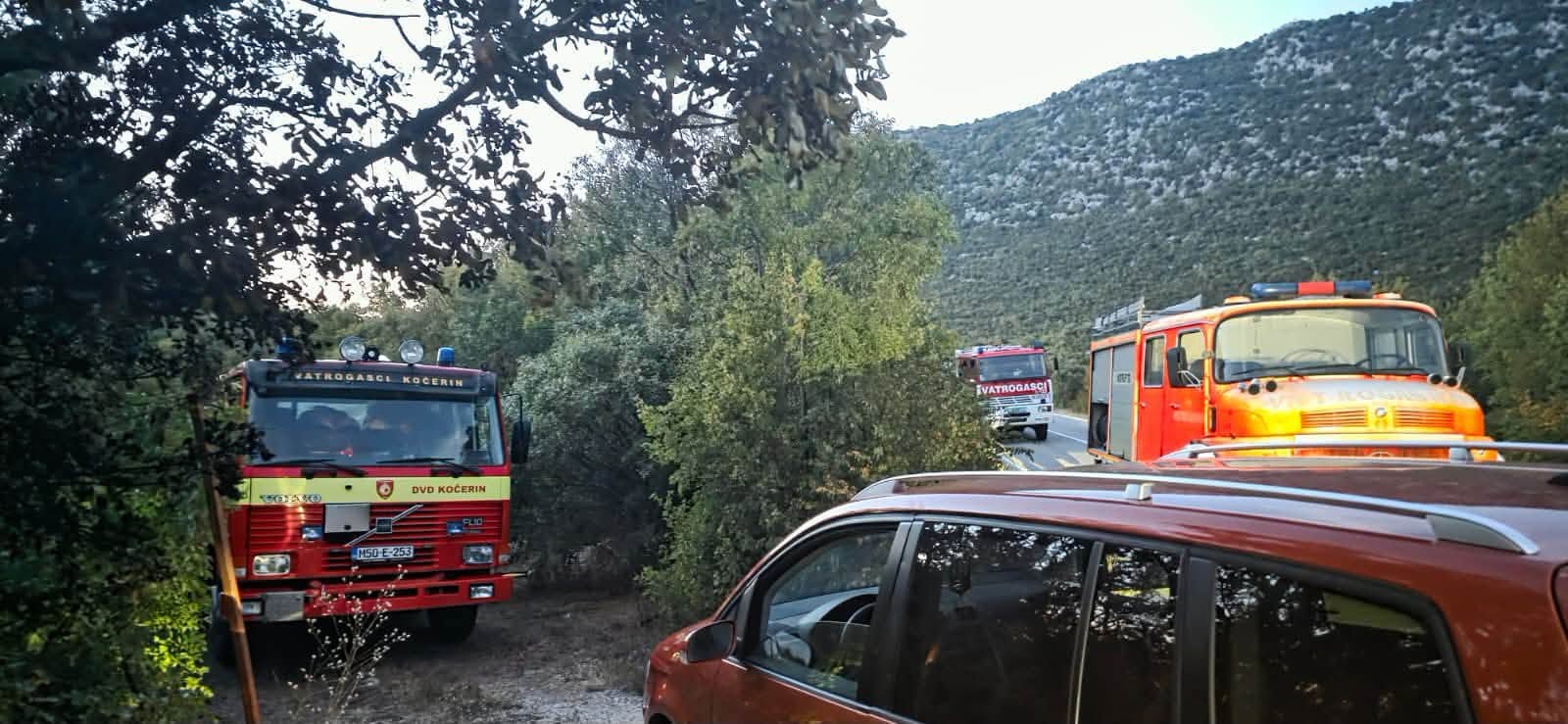 pozar pod kontrolom u buhovu 3 8